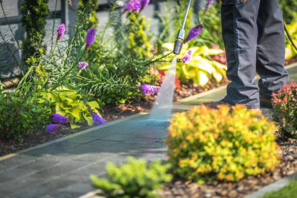 Best Boat and Dock Cleaning  in Meadowdale, WA
